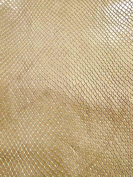 Passport Case Wallet