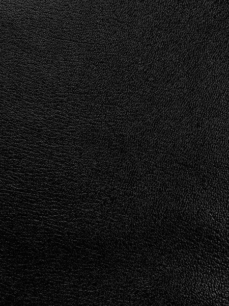 Passport Case Wallet