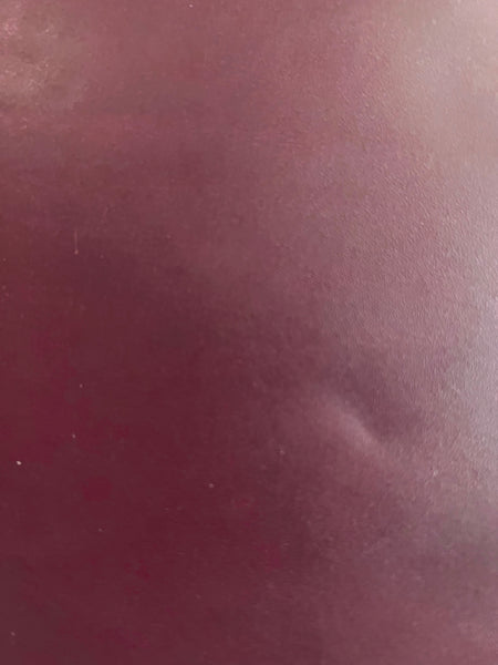 Passport Case Wallet