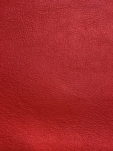 Passport Case