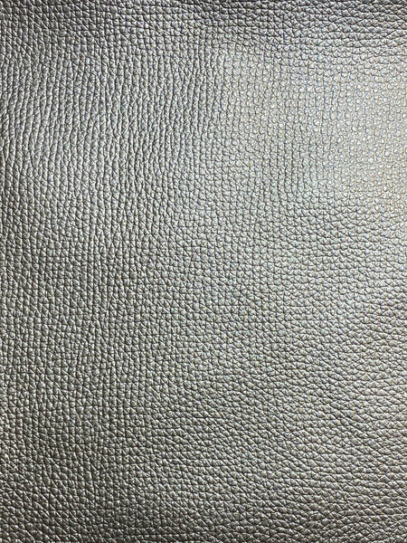 Passport Case